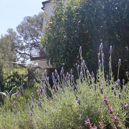 Cappelli Apartments - Losinj مالي لوشينغْ المظهر الخارجي الصورة